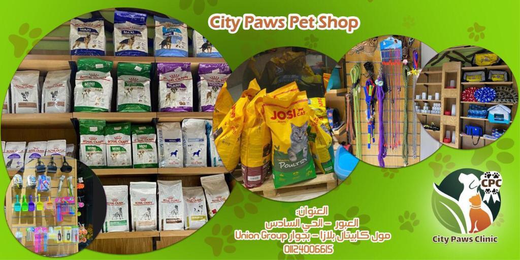 City Paws Clinic