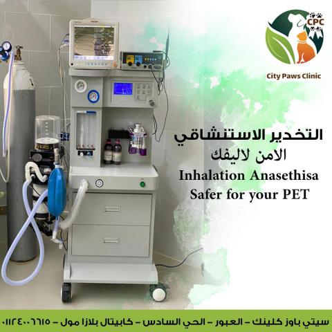 Inhaled Anesthesia