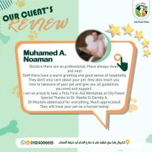 City Paws Client Review