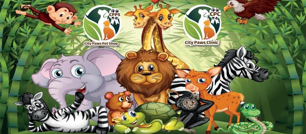 City Paws Clinic